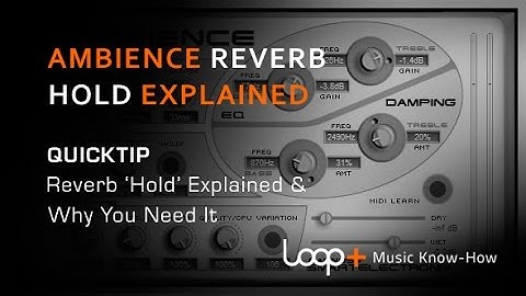 Ambience Free Reverb ‘Hold’ Function Explained - Loop+ Quick Tip