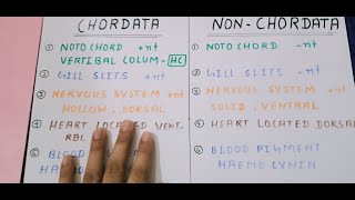 Difference between Chordata and Non-Chordata || In HIndi