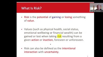 Software project risk management