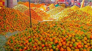 Extreme orange essential oil production processing method. Citrus Processing in biggest factory