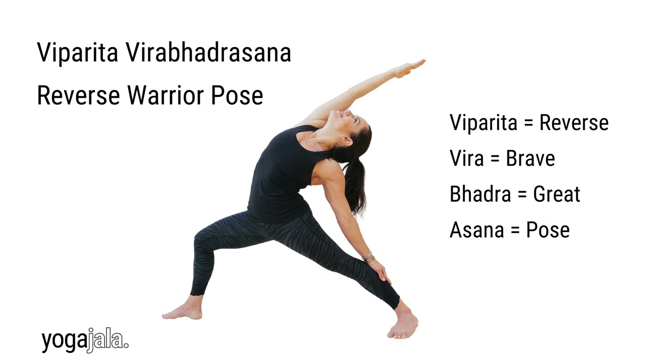 How To Do Goddess Pose In Yoga - Proper Form, Variations, and Common  Mistakes - The Yoga Nomads