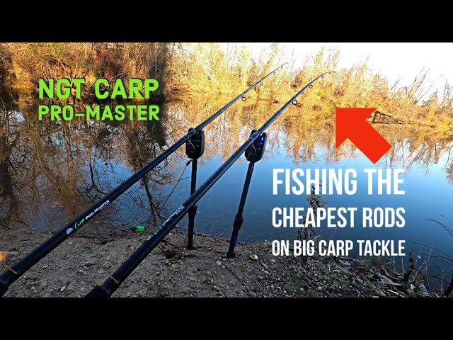 NGT Carp Pro Master rods review 