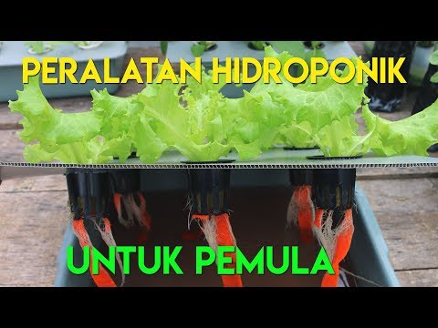 Video: Alat Dan Peralatan Hidroponik – Perkara yang Anda Perlukan Untuk Persediaan Hidroponik