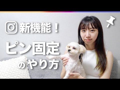 【Instagram新機能】投稿をピン固定する方法を完全解説!