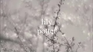 If were you - lily potter (lyrics) [HIGH QUALITY]