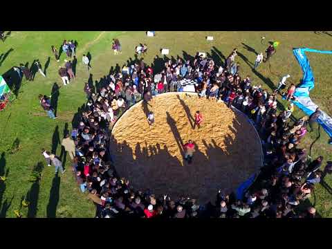 თბილისობა 2017 - ჭიდაობა რიყეზე