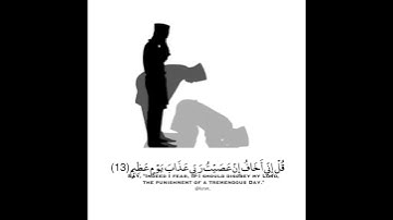 ما تيسر من "سورة الزمر"الايه(١٣-١٤)حالات وانساب،قران كريم🌺