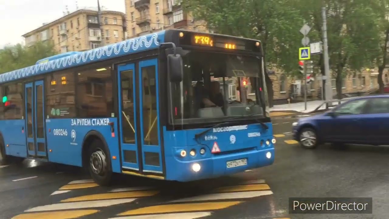 Автобусы Москвы