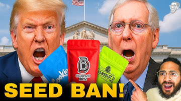 SEEDS & CLONES BANNED?! The NEW Loophole They Can’t Stop! 😱🤯