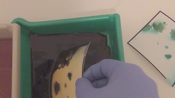 Finding the correct filter to shoot RA4 paper as direct positives. Also, playing fretless guitar.