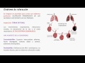 Síndrome de rarefacción (físico y radiológico)