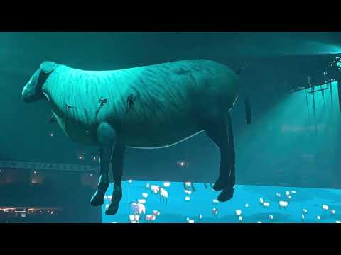 Roger Waters -