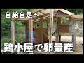 自給自足への道!鶏小屋を作り卵を産ませる!!