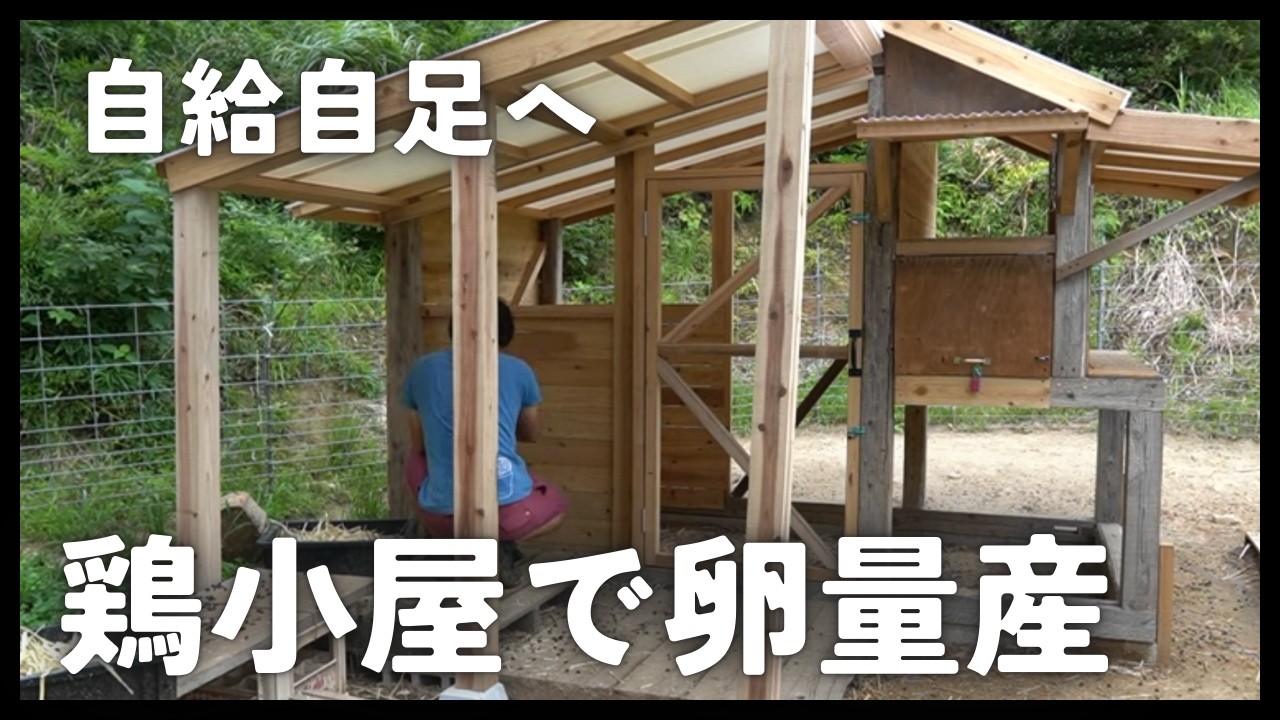 自給自足への道！鶏小屋を作り卵を産ませる！！