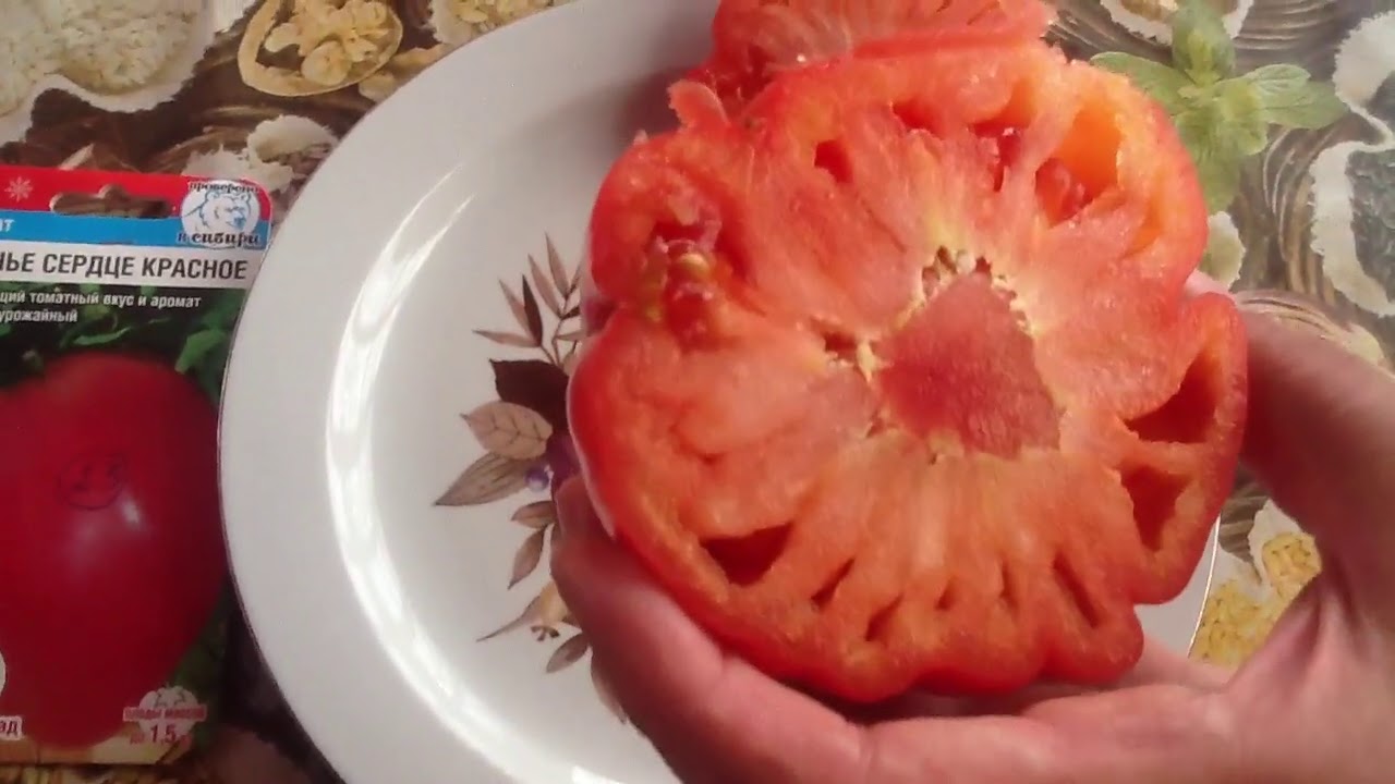 бычье сердце видео