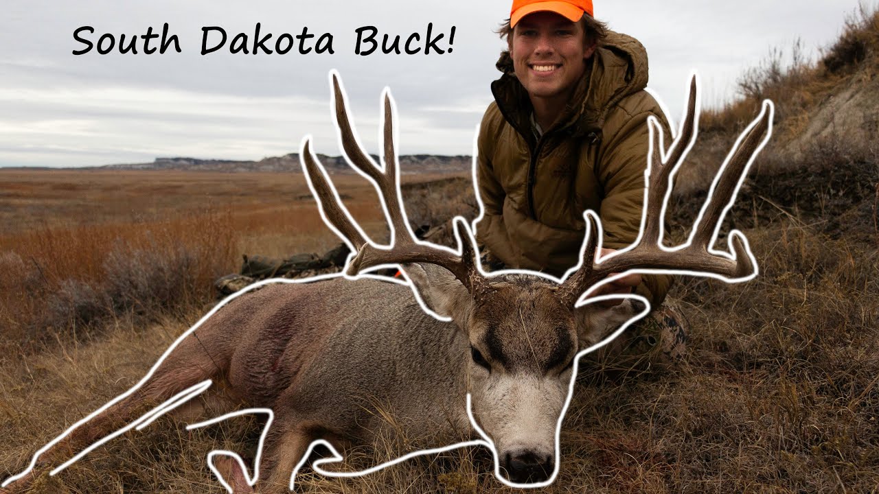 South Dakota Mule Deer! Vlog of recovery (on Public Land) YouTube