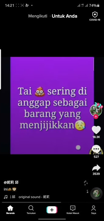 Kata mutiara tentang 'tai'