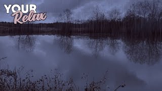 Звуки Дождя Без Грома. Отдых у Озера. 30 Минут 4K Видео 60 FPS.