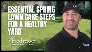 Essential Spring Lawn Care Steps for a Healthy Yard