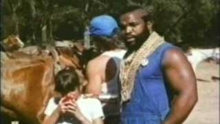 Life Lessons with Mister T Life Lessons with Mister T