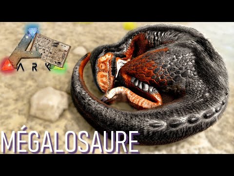 Vidéo: Où a été trouvé le mégalosaure ?