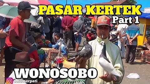 BERBURU MERPATI DI PASAR KERTEK WONOSOBO , MERPATI GIRINGAN MELIMPAH PART 1