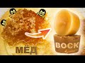 ВОСК из МЁДа 🍯 в сотах