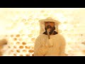 Eidola - Fistful Of Hornets (Official Music Video)