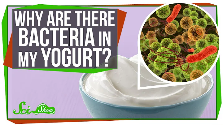 Why Are There Bacteria In My Yogurt? - DayDayNews