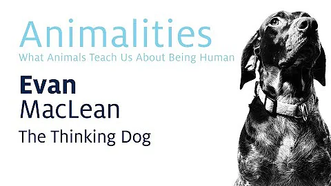 2019 Animalities: The Thinking Dog