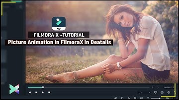 Filmora Picture Animation | How To Animate Picture in Filmora X | Filmora X  Picture Animation