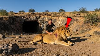 The Lion in the Mine: A Tale of Courage and Compassion