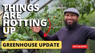 Greenhouse Tour July 2023   Chilli House Tour by My Family Garden 1,821 views 9 months ago 16 minutes