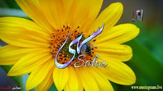 ما معنى اسم #سهى وبعض من صفات حاملة هذا الاسم على قناة معاني الاسماء #Soha