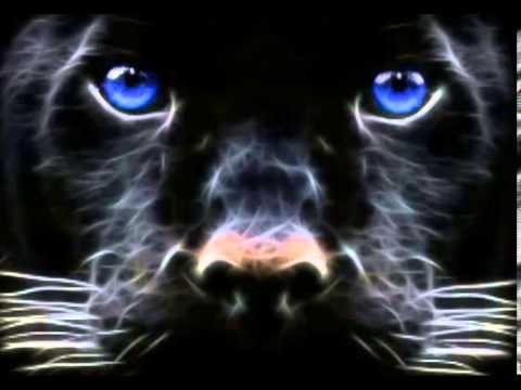 ريمكس مهند عدنان يدك بالقلب ردح 2013 YouTube