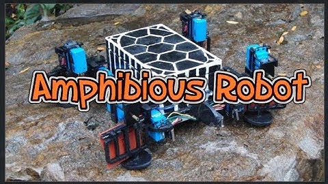 Amphibious Robot