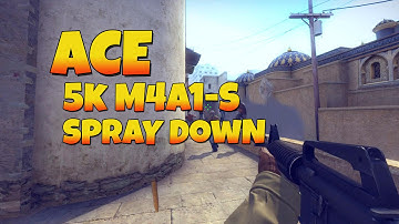 CS:GO - ACE! insane 5k M4A1-S spray down