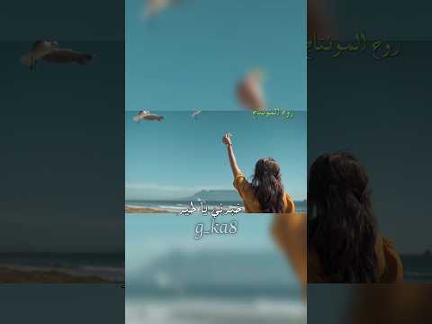 ريبر وحيد خبرني يا طير