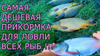 Самая Дешевая Прикормка Для Ловли Всех Рыб!!! Рыбалка В Сильныи Ветер!