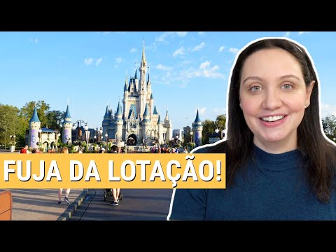 Vídeo: Os dias menos lotados na Disney World