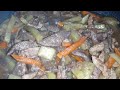 Igado: Ulam Pang-Masa | Lucy Swierc Official