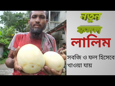 ভিডিও: উকচিনি কেন ফসলে খুশি নয়?