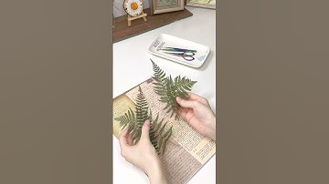 Handmade - Trang trí khung tranh cổ điển…✨🌿🖼️ #videoshort #tranh #khungtranh #decor #chillvibes