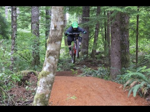 alsea falls mountain biking