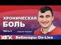 Вебинар: Как лечить хроническую боль. Часть 2 (В. Романенко и Г.Кирдогло)