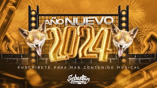 MIX AÑO NUEVO 2024🔥(Lollipop, PERRO NEGRO, ANDO, ALV, CHULO, TQG, FlowGPT, más) Sebastian Fernández