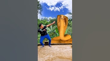 Snake🐍Attack Vfx Magic Video #shorts #magic #vfx #shortvideo #viral #trending #ytshorts