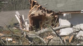 Elderly woman injured when tree falls through bedroom in Newberry
