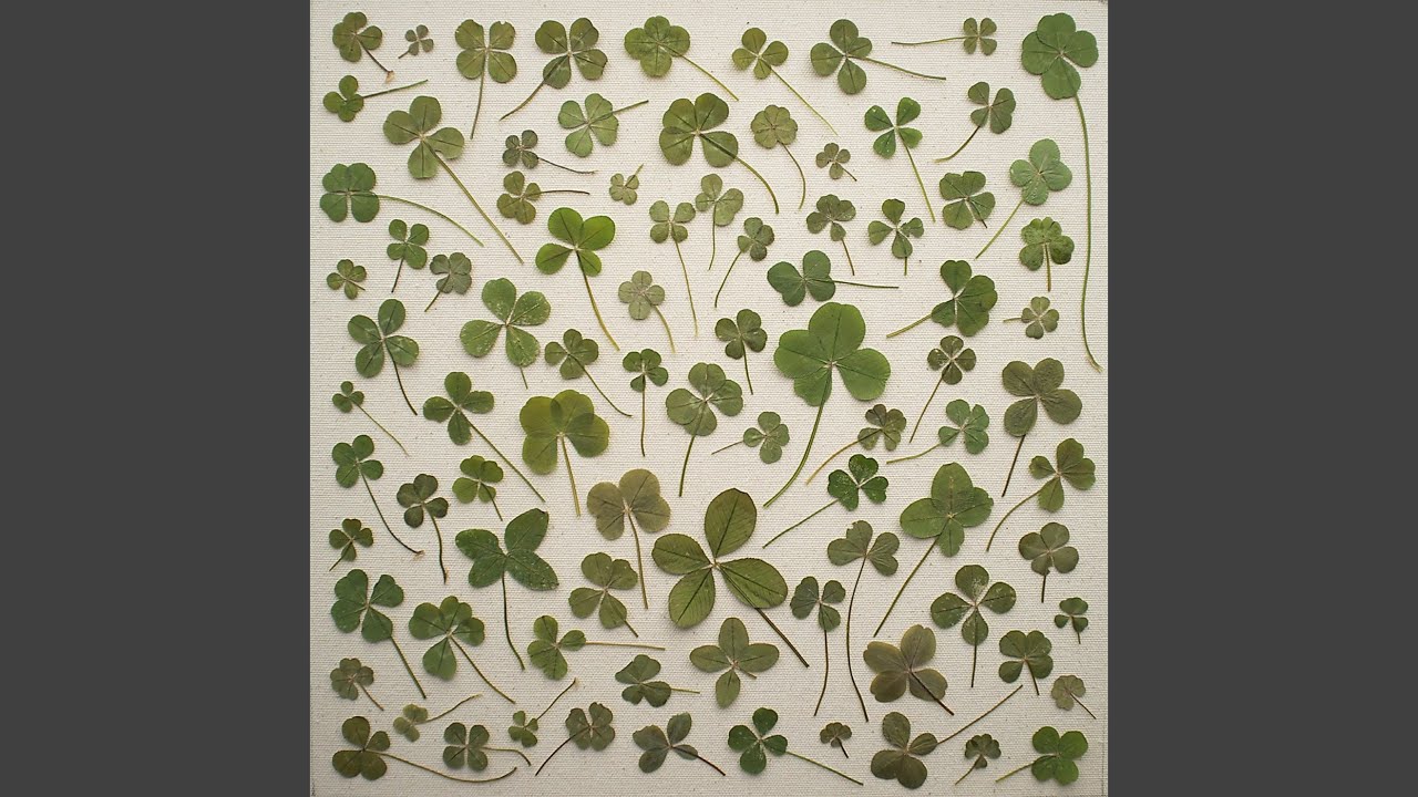 Turned over to Dreams