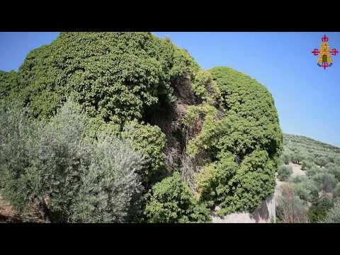 Molino El Cubo de Torredonjimeno